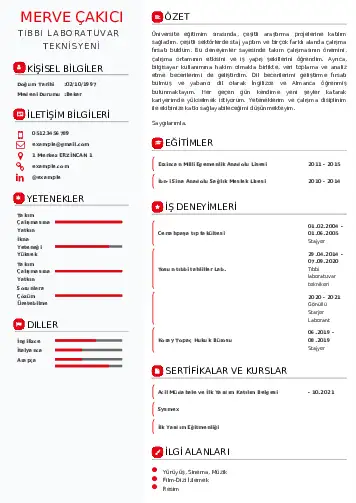 Laboratuvar Teknisyeni Cv Örnekleri cv indir